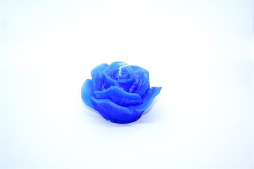Koboltblå rose