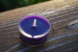 Aubergine fyrfadslys i plastkop  - 20 stk.