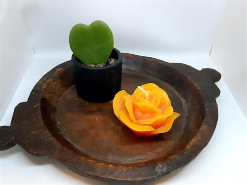 Orange Rose